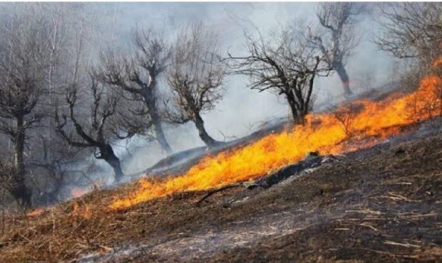 آتش سوزی همزمان ۹ نقطه از عرصه های ملی شهرستان کوهدشت و چگنی